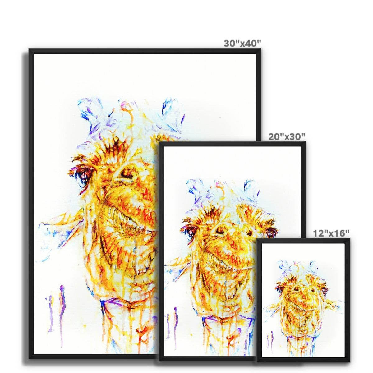 Genuine Geoffry Framed Canvas