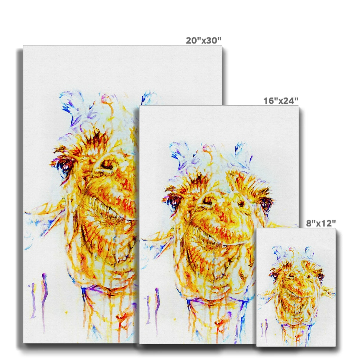 Genuine Geoffry Eco Canvas