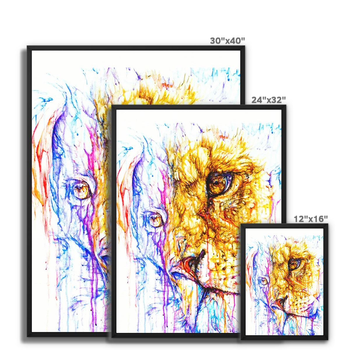 Longing Lionel Framed Canvas