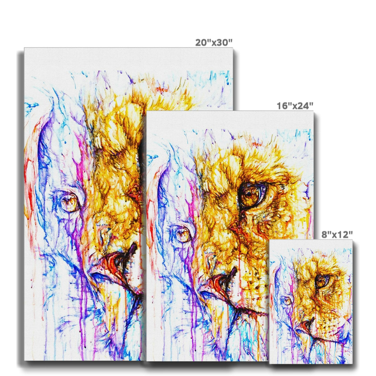 Longing Lionel Eco Canvas