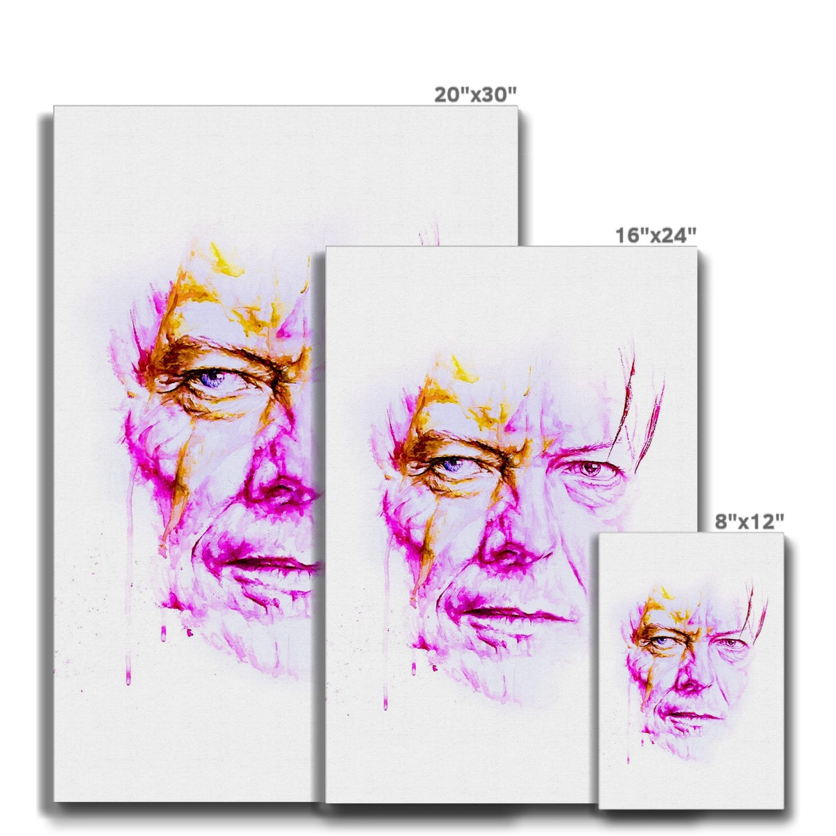 David Bowie 2 Eco Canvas