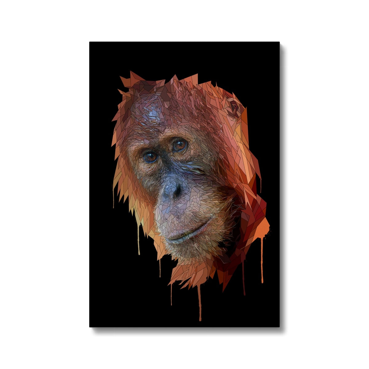 Orangu Eco Canvas