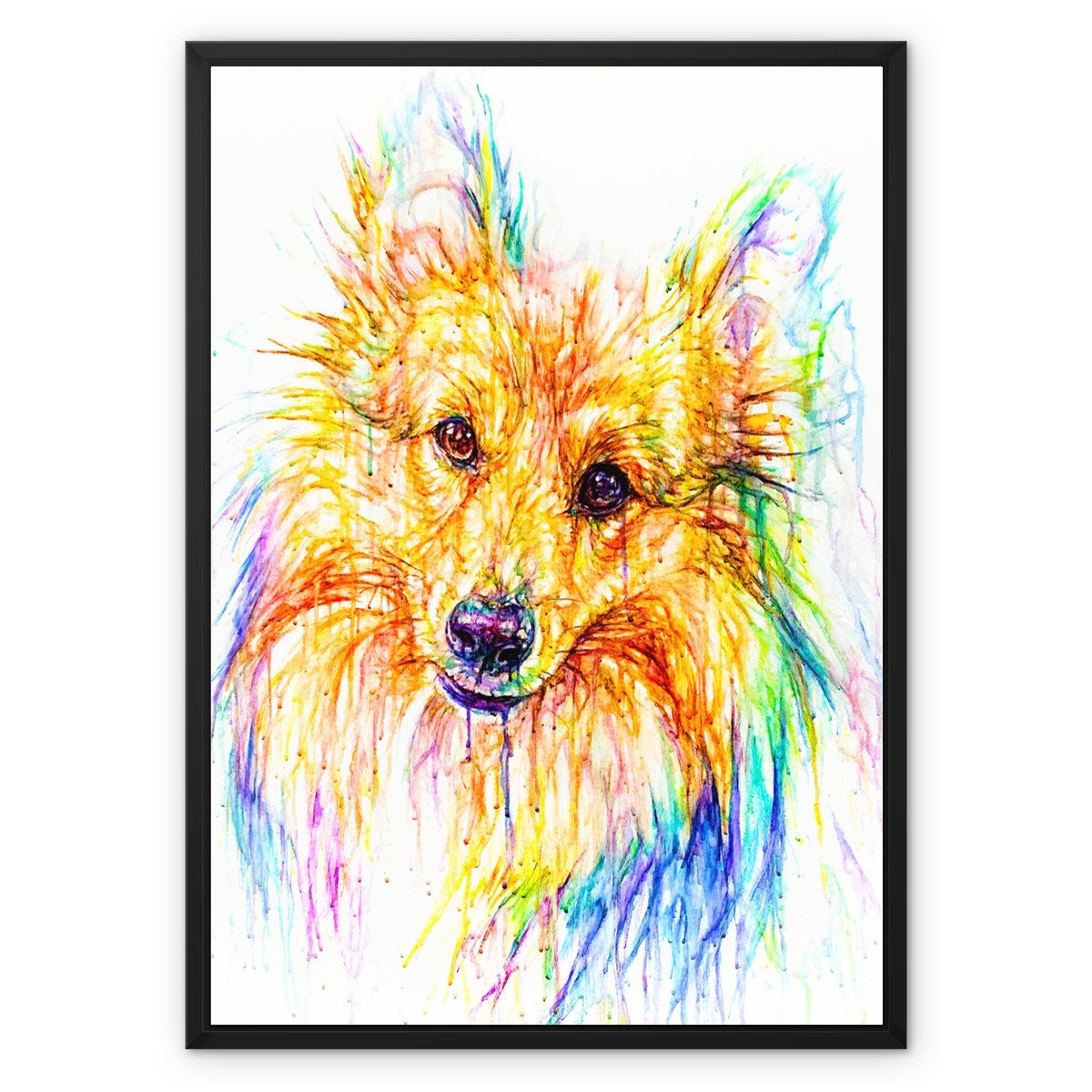 Merlin Framed Canvas