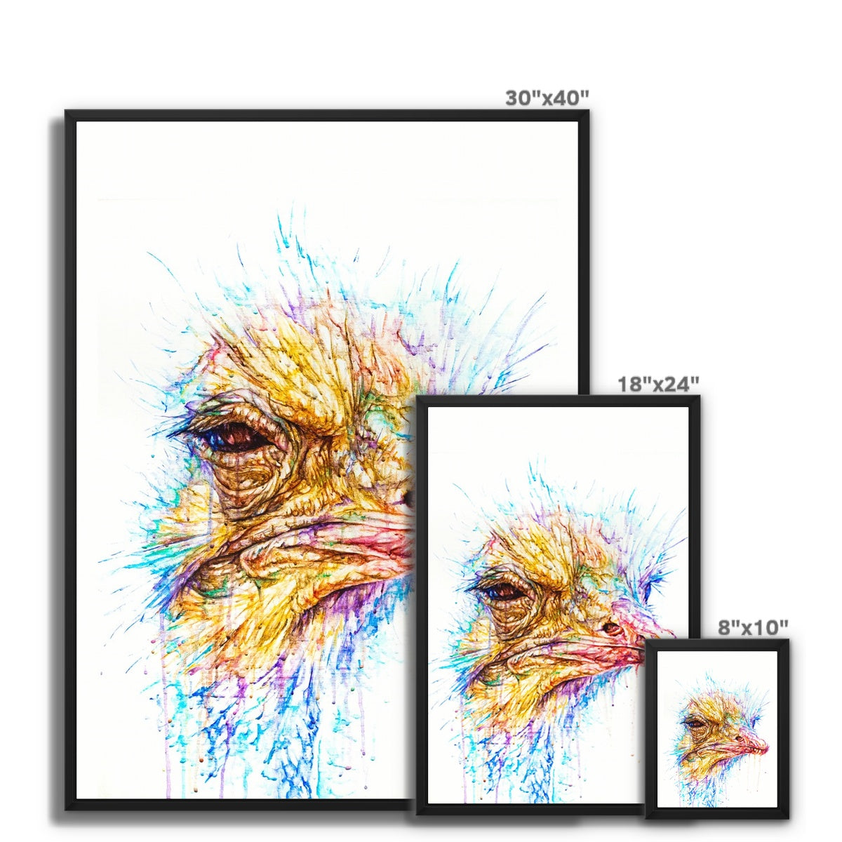 Ostentatious Octavia Framed Canvas
