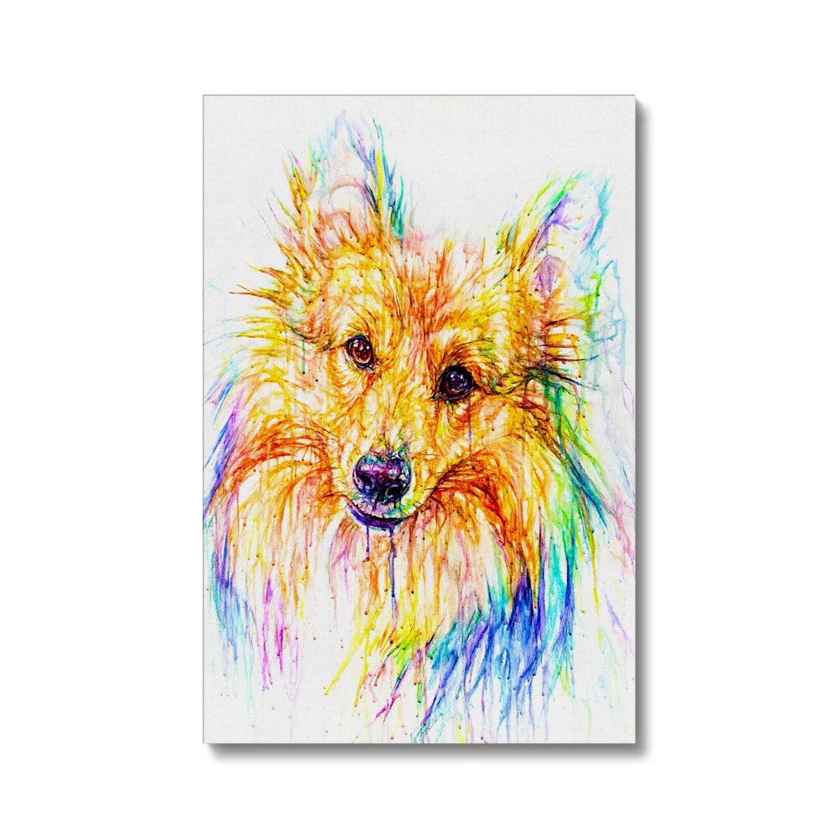 Merlin Eco Canvas