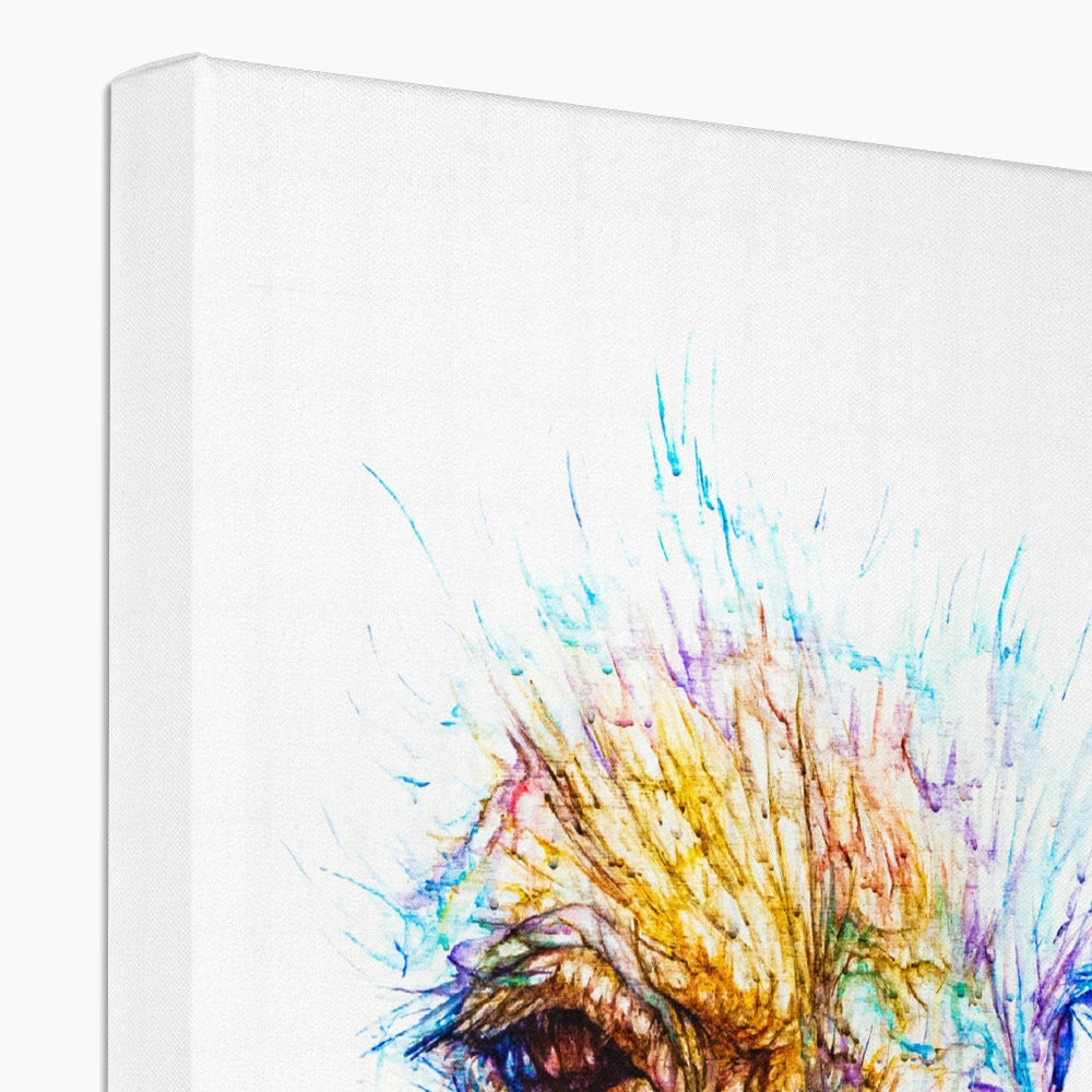 Ostentatious Octavia Eco Canvas