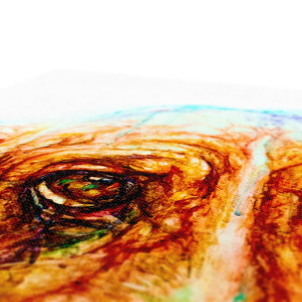 Droopy Eco Canvas