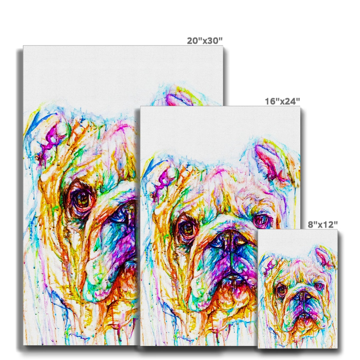 Bully Eco Canvas
