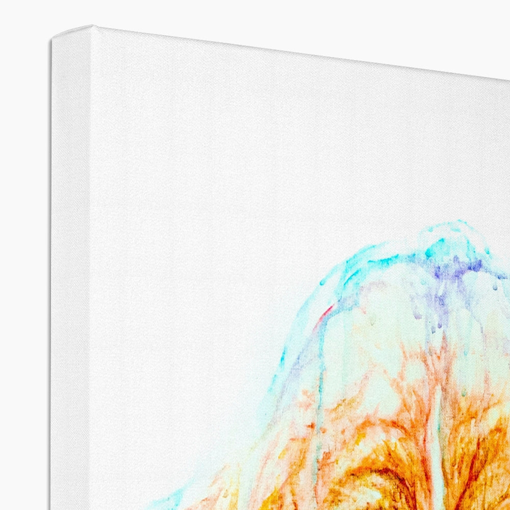 Droopy Eco Canvas