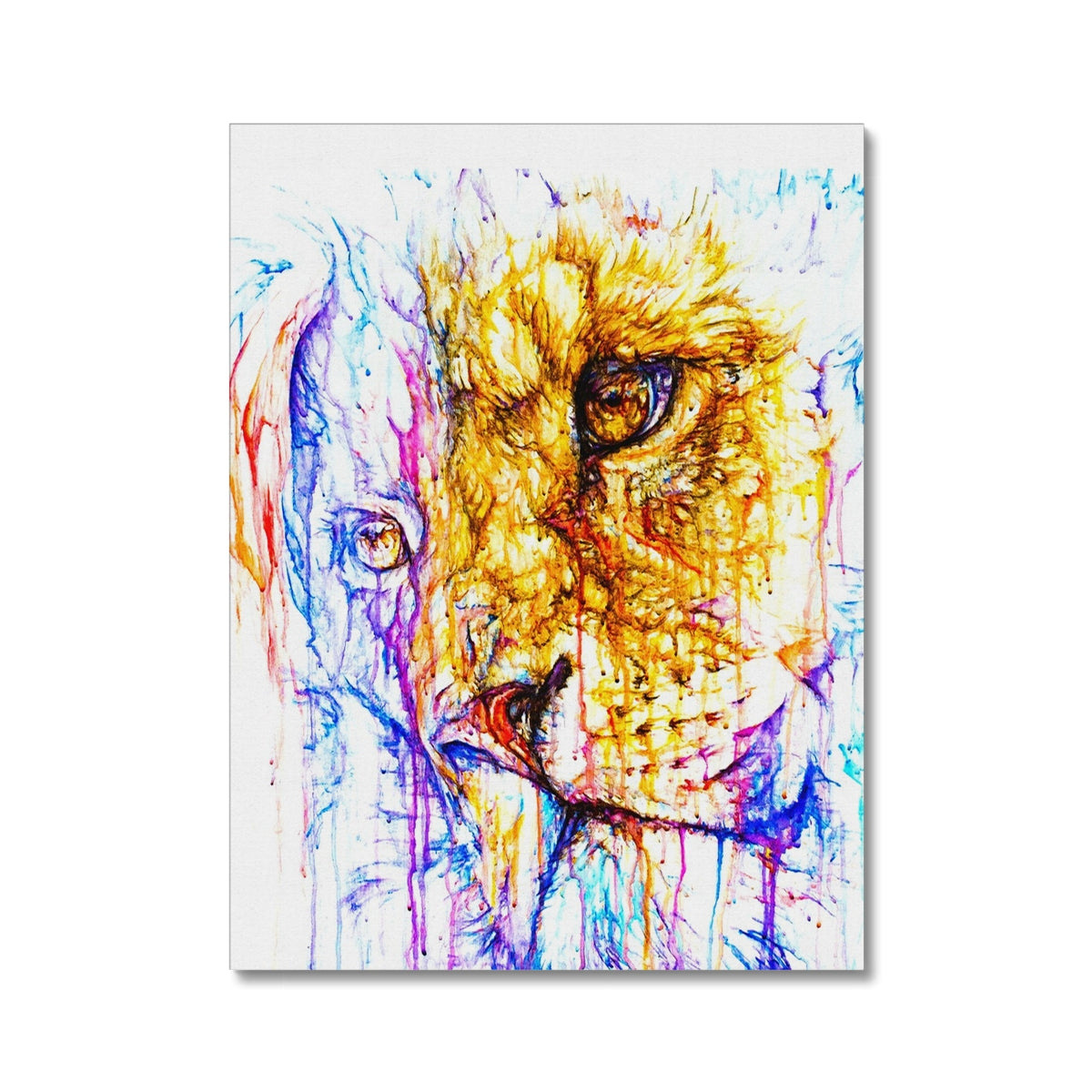 Longing Lionel Canvas