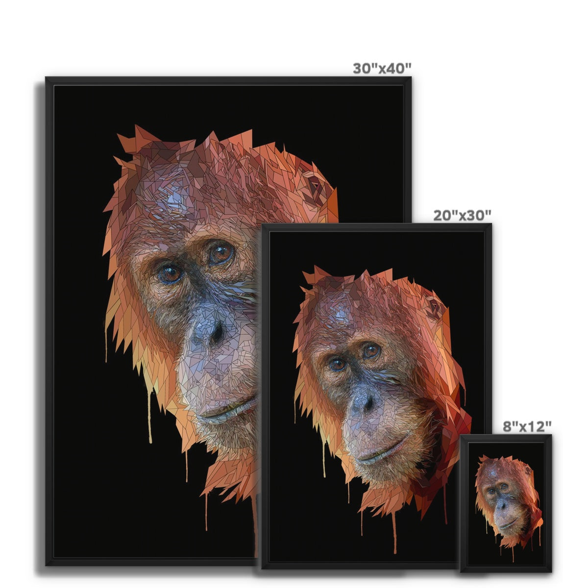 Orangu Framed Canvas