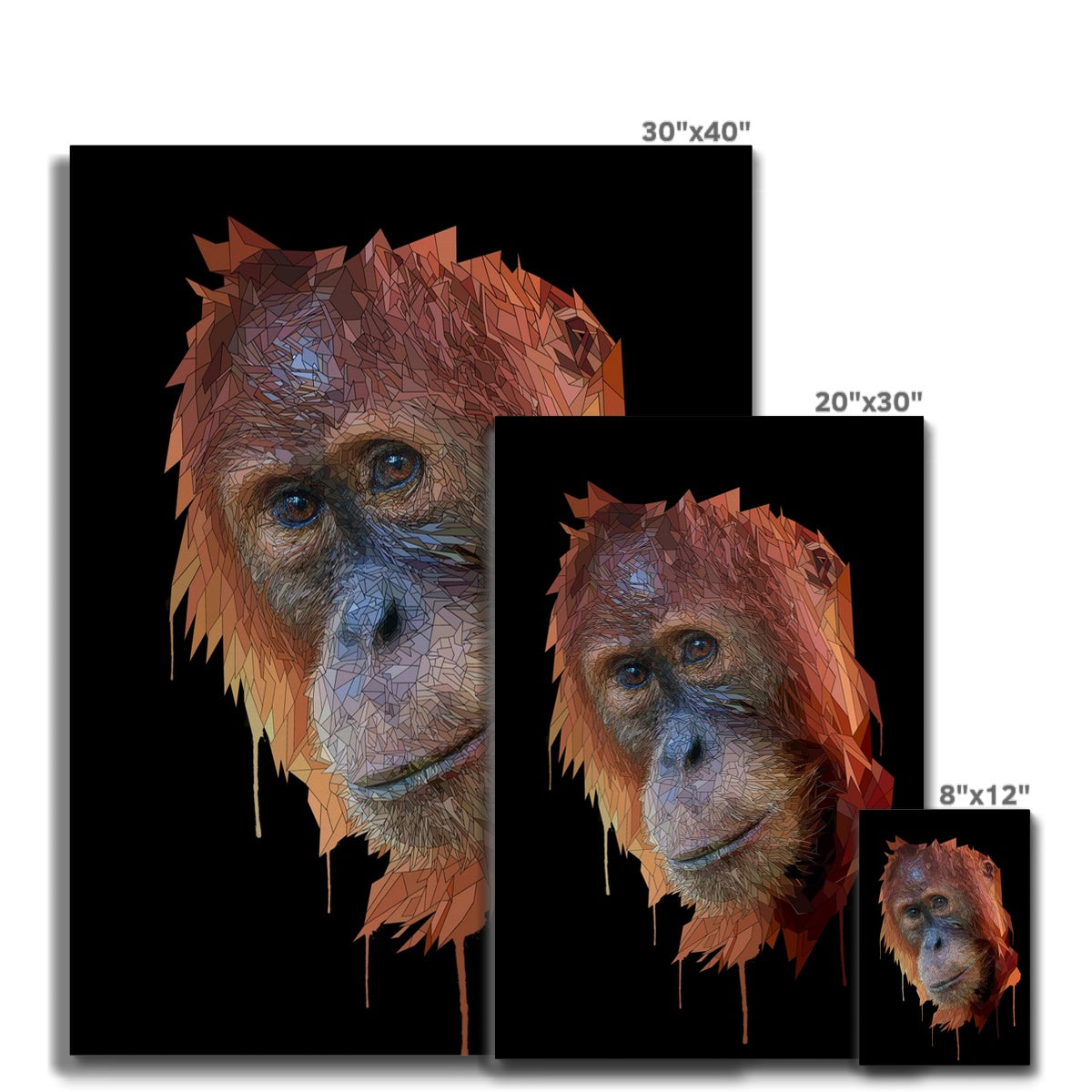 Orangu Canvas