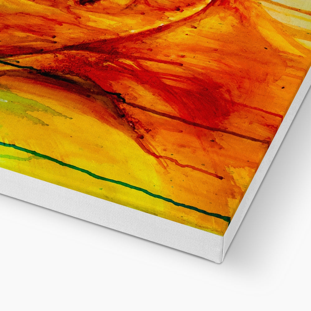 Distillation Canvas