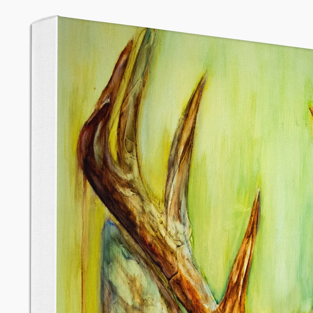 Deary Eco Canvas