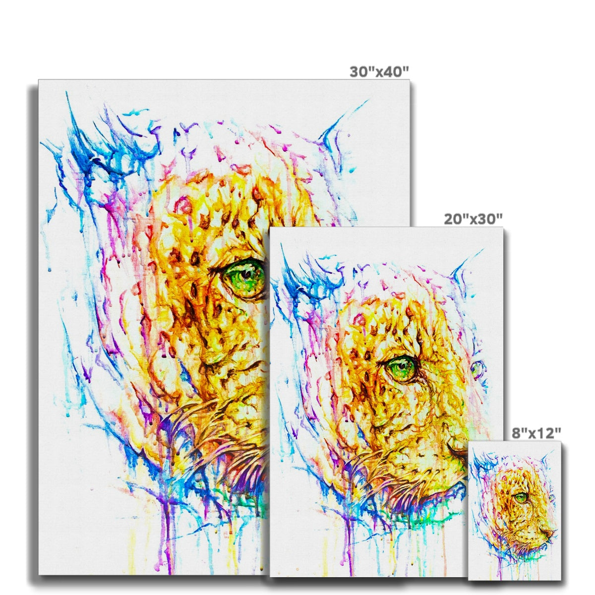 Looming Leo Canvas