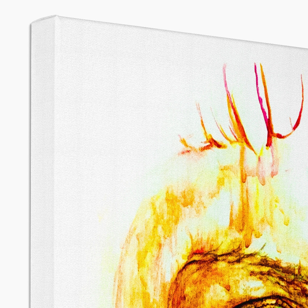 Prince Canvas