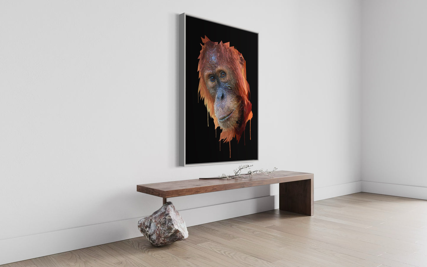 Orangutan