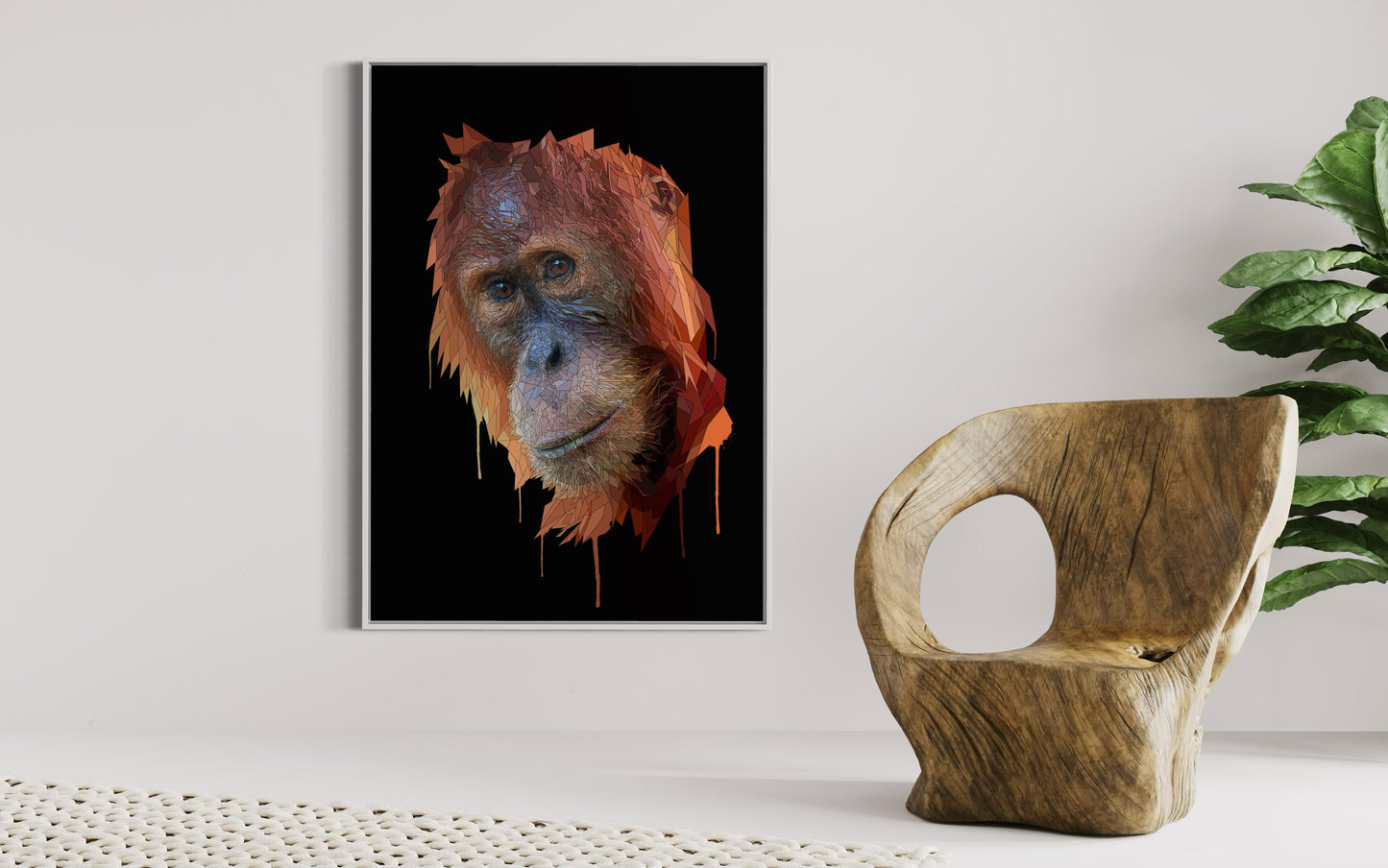 Orangutan