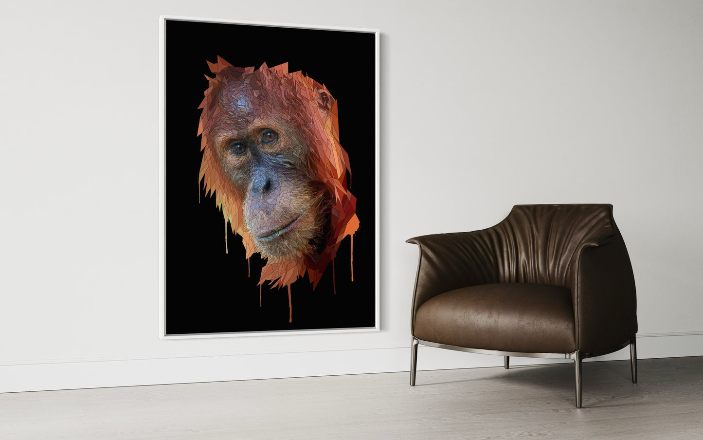 Orangutan