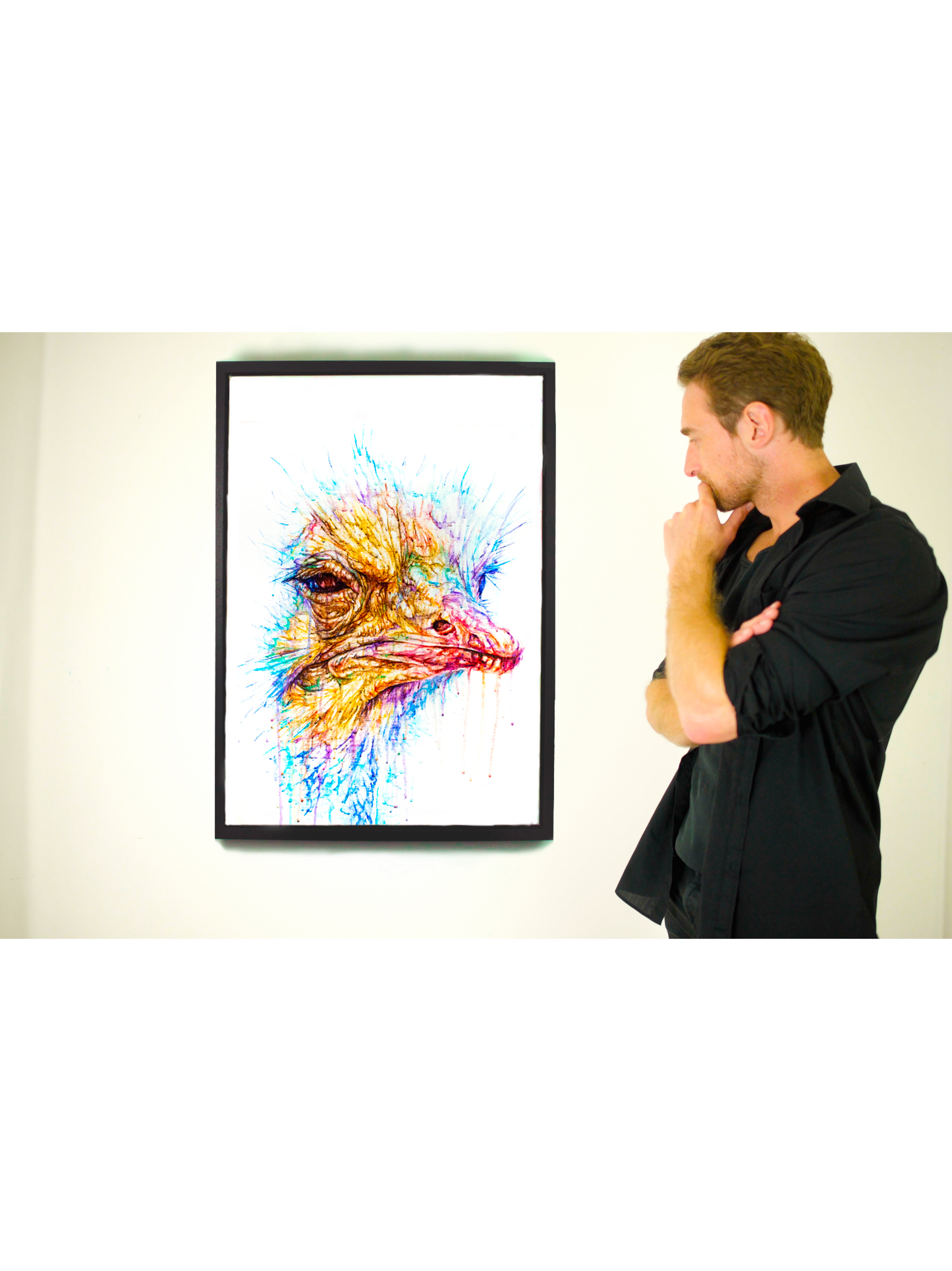 Ostrich