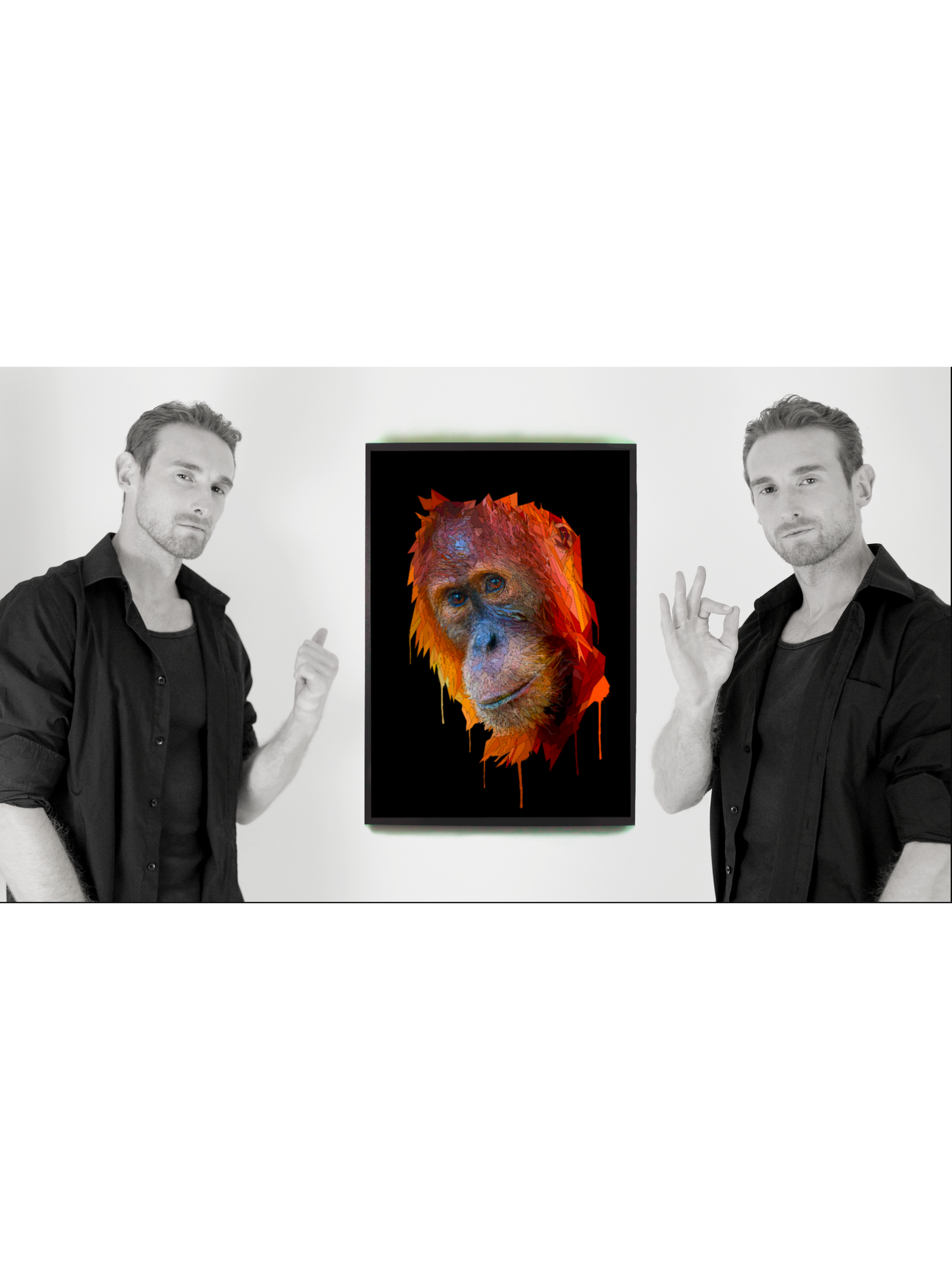 Orangutan