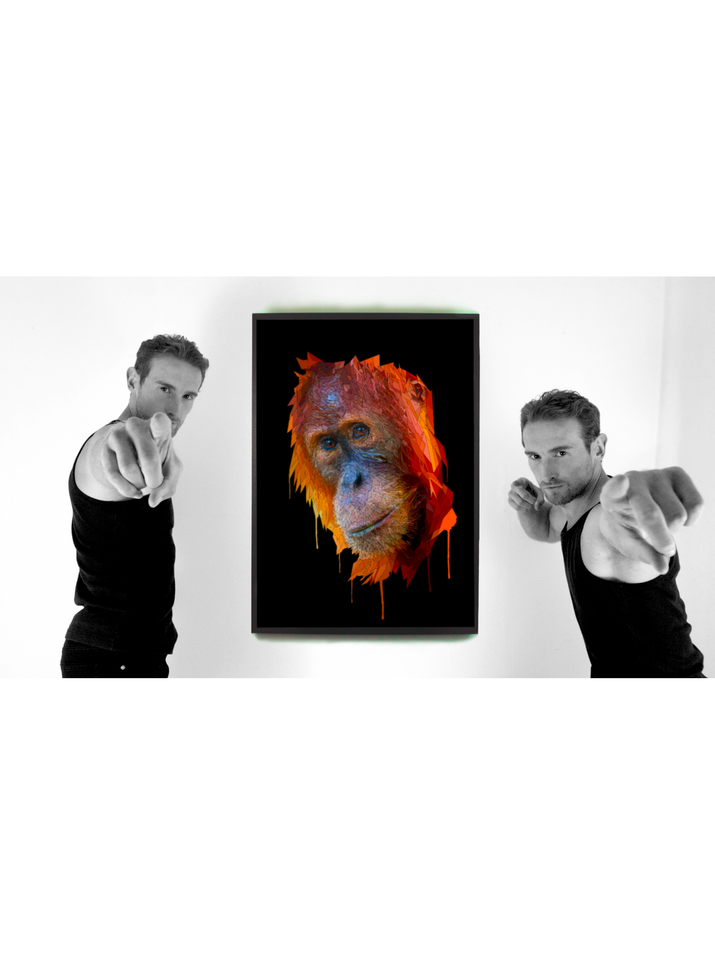 Orangutan