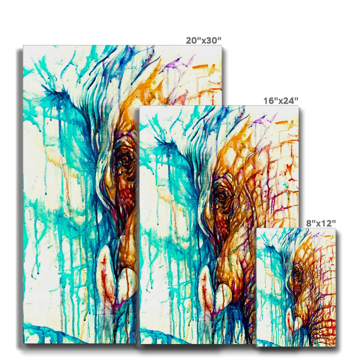 Elegant Eddie Eco Canvas