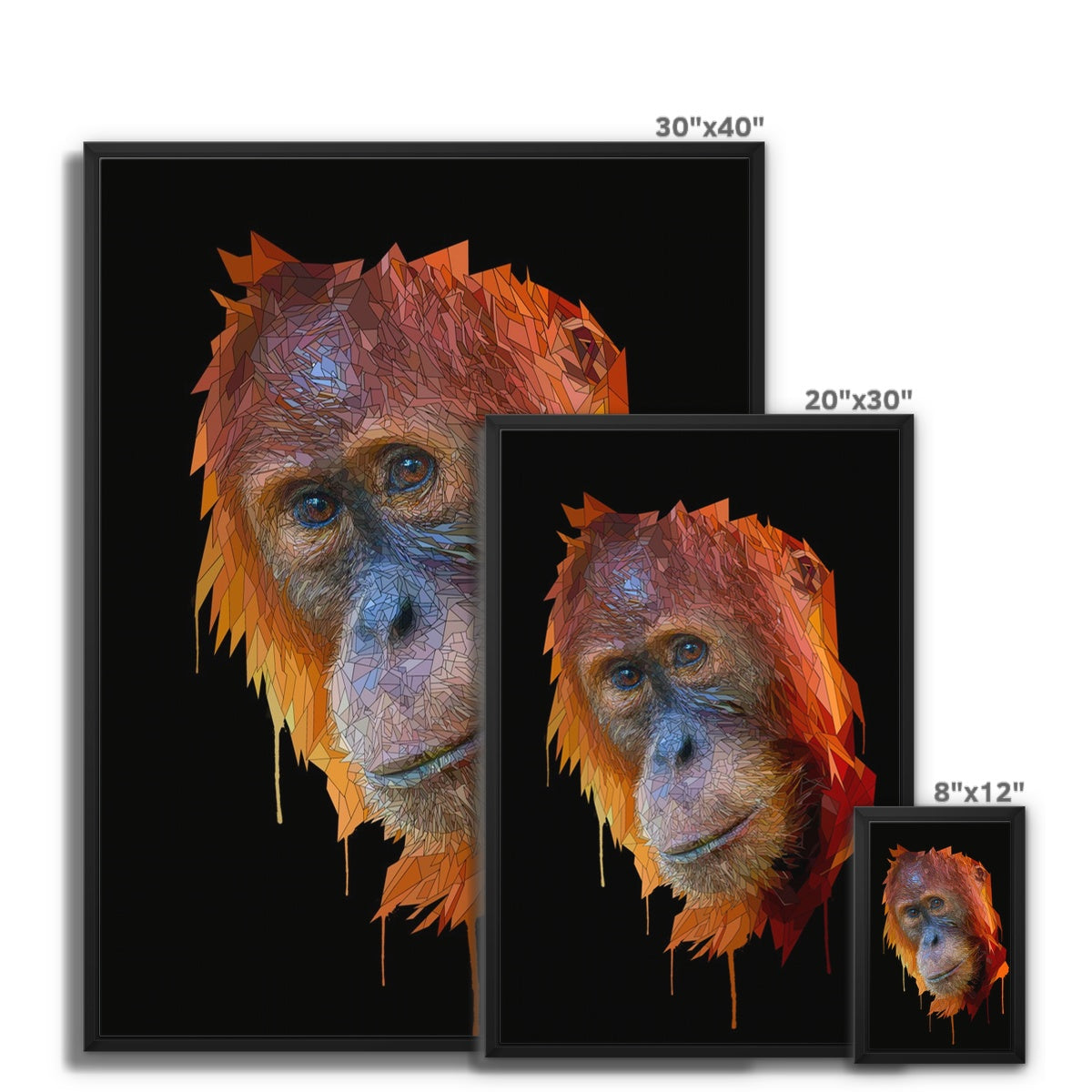 Orangutan Framed Canvas