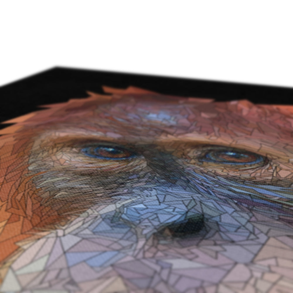 Orangu Eco Canvas