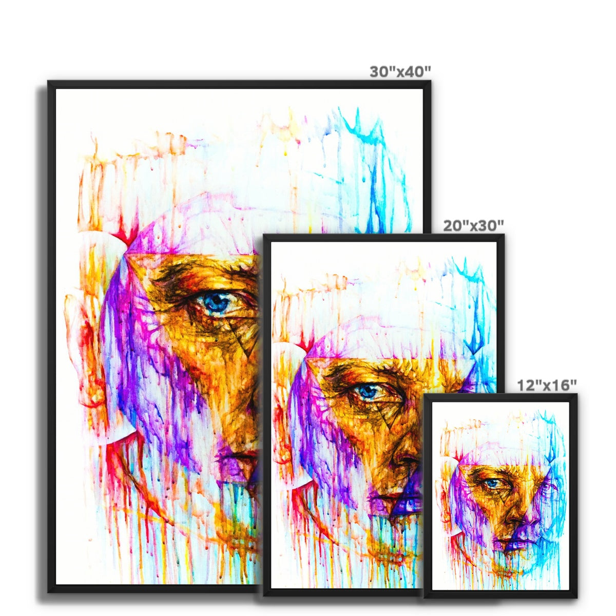 Hawk Anja Framed Canvas