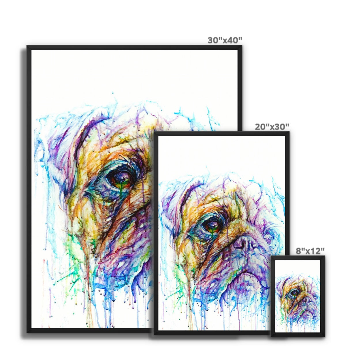 Puggy Framed Canvas