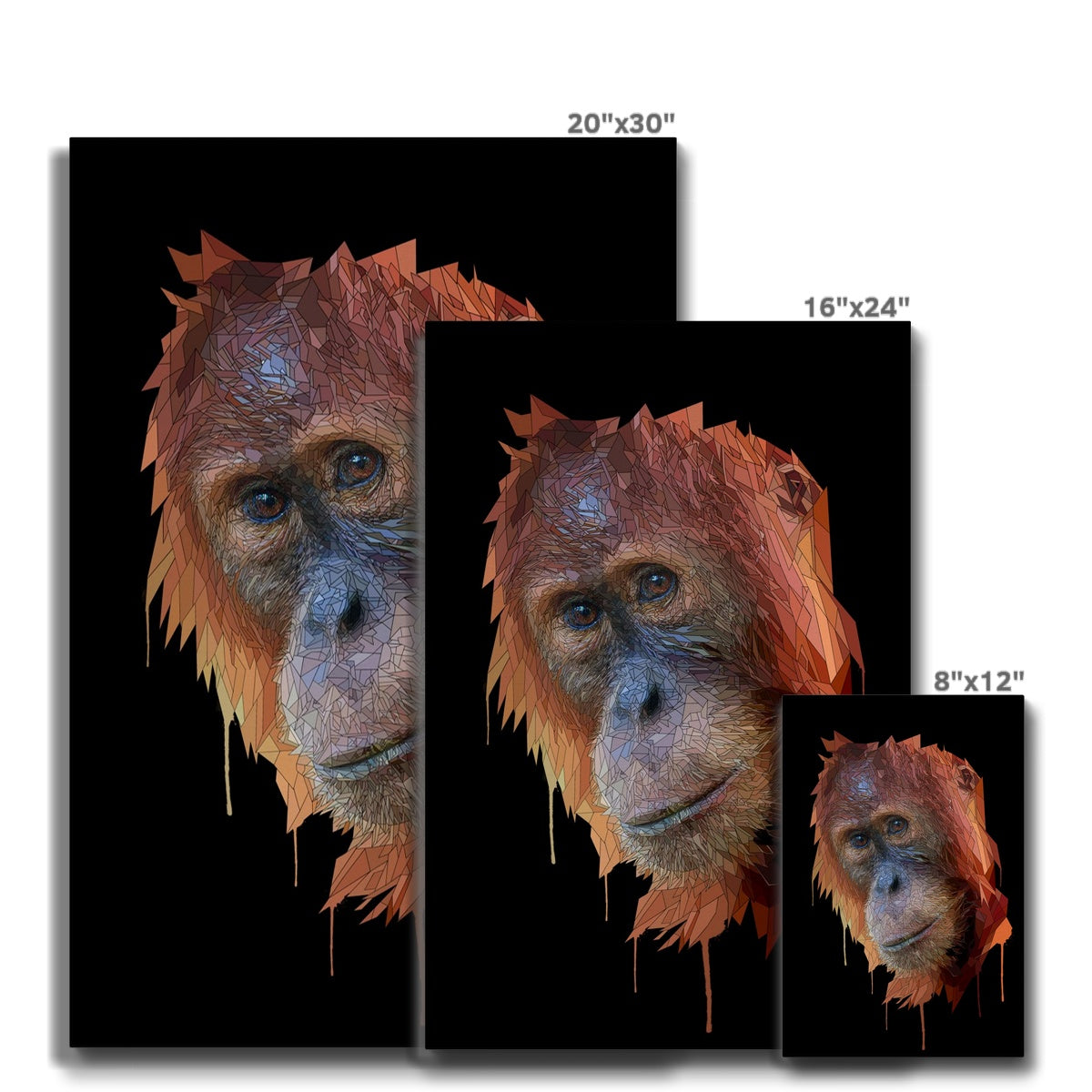 Orangu Eco Canvas