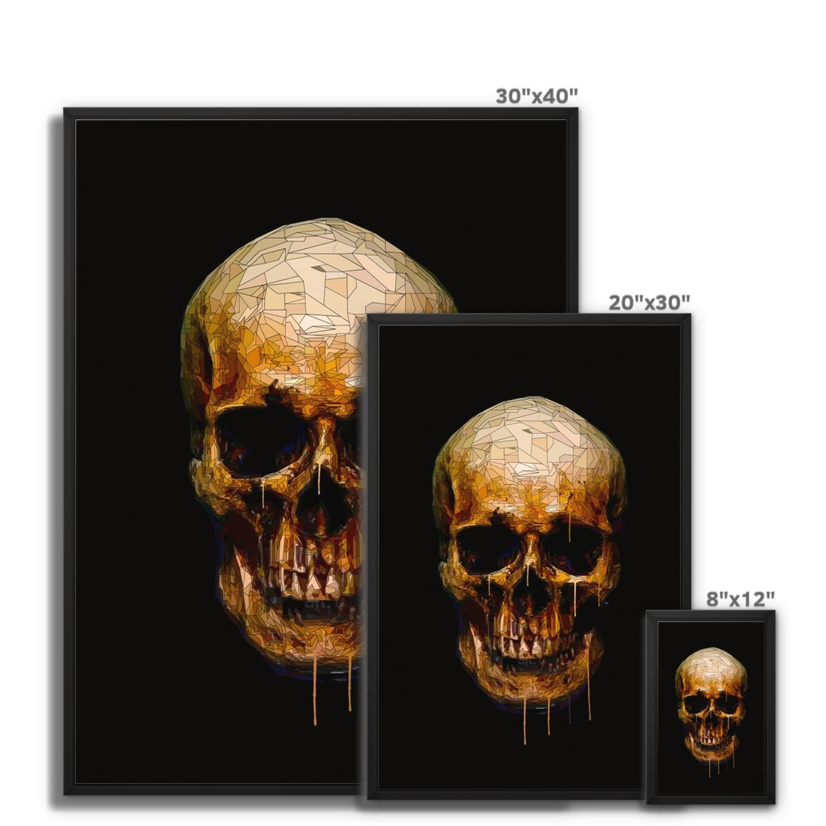 Skull Framed Canvas