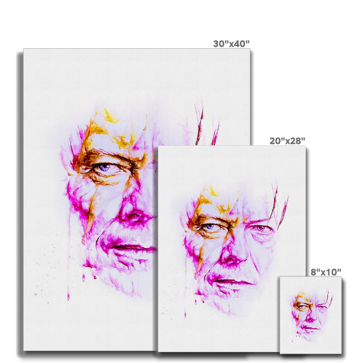 David Bowie 2 Canvas