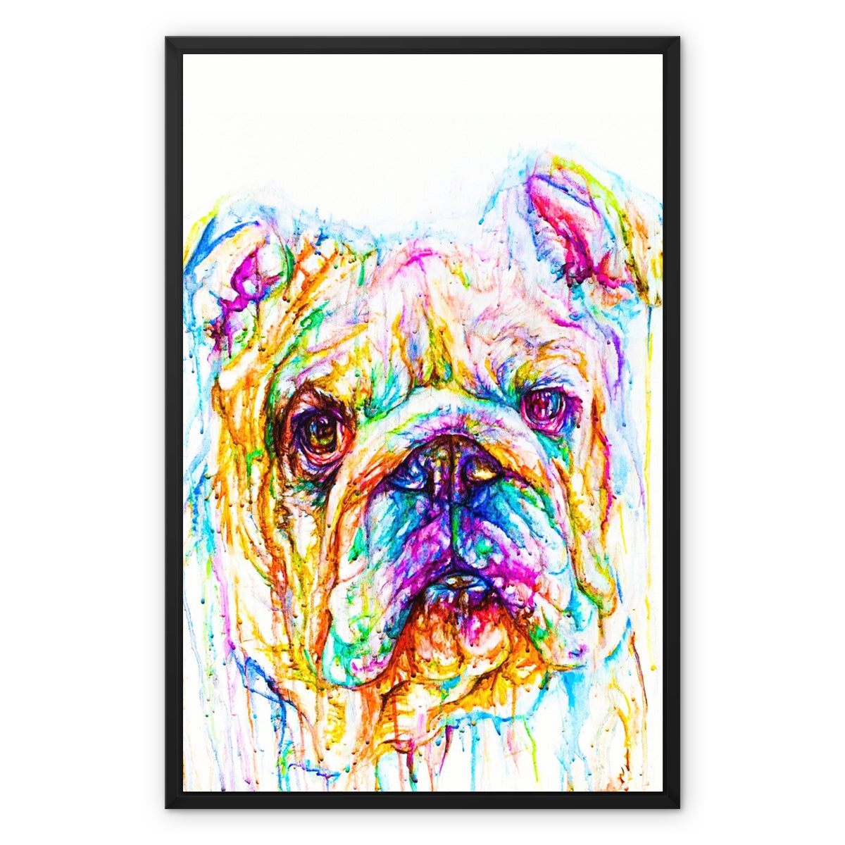 Bully Framed Canvas