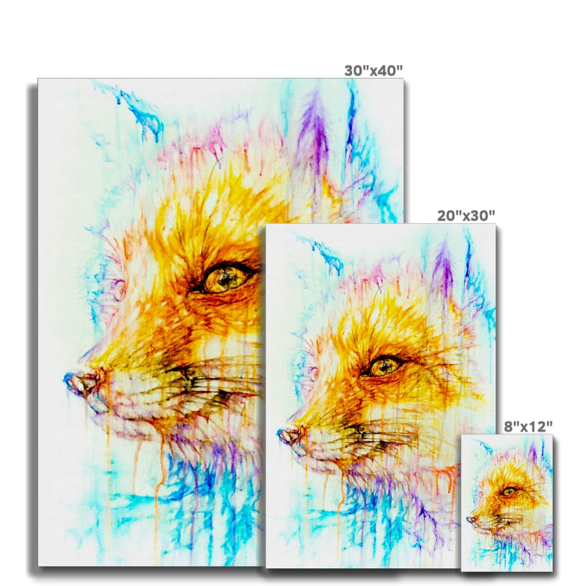 Foxy Canvas