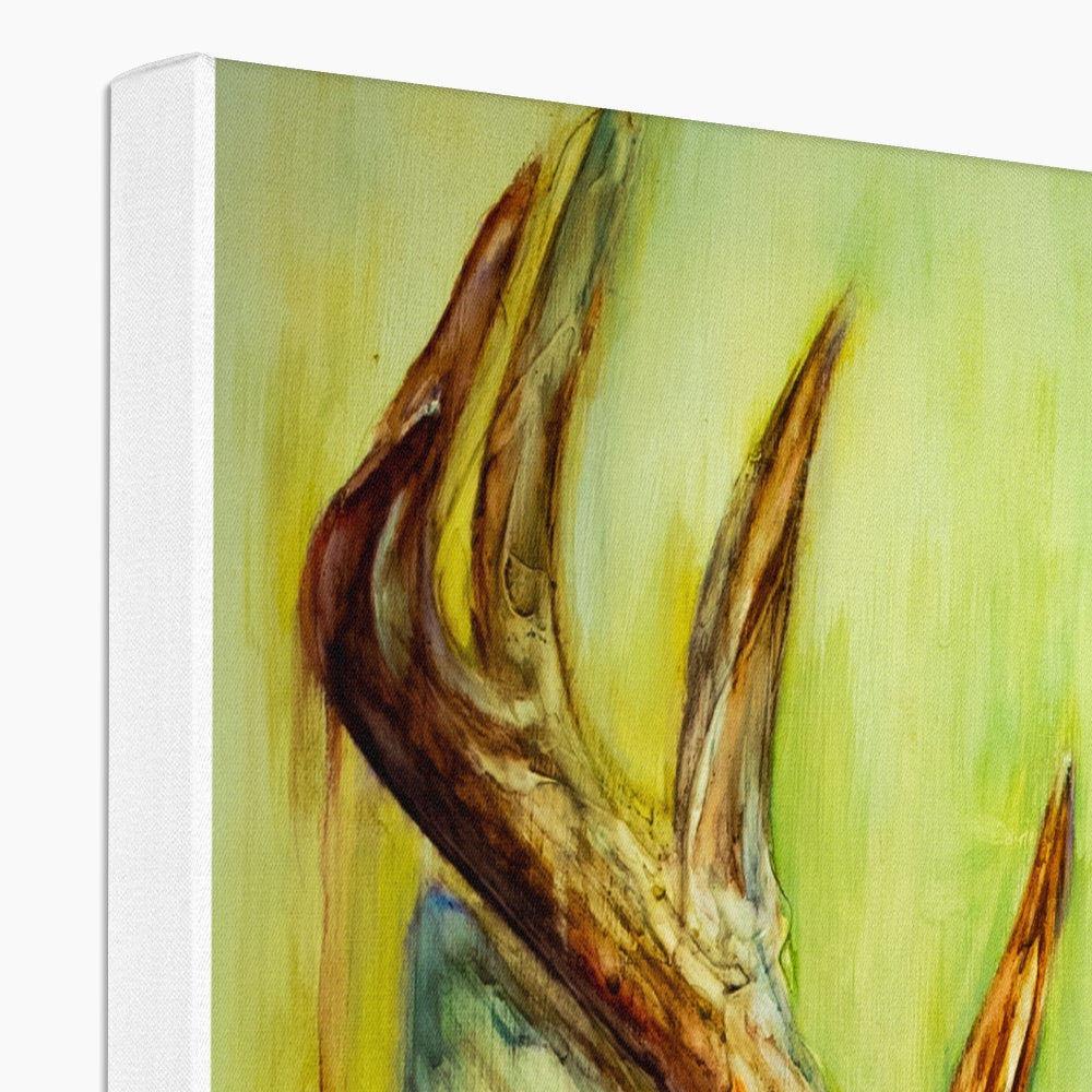 Deary Canvas