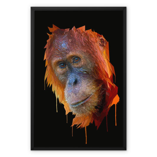 Orangutan Framed Canvas