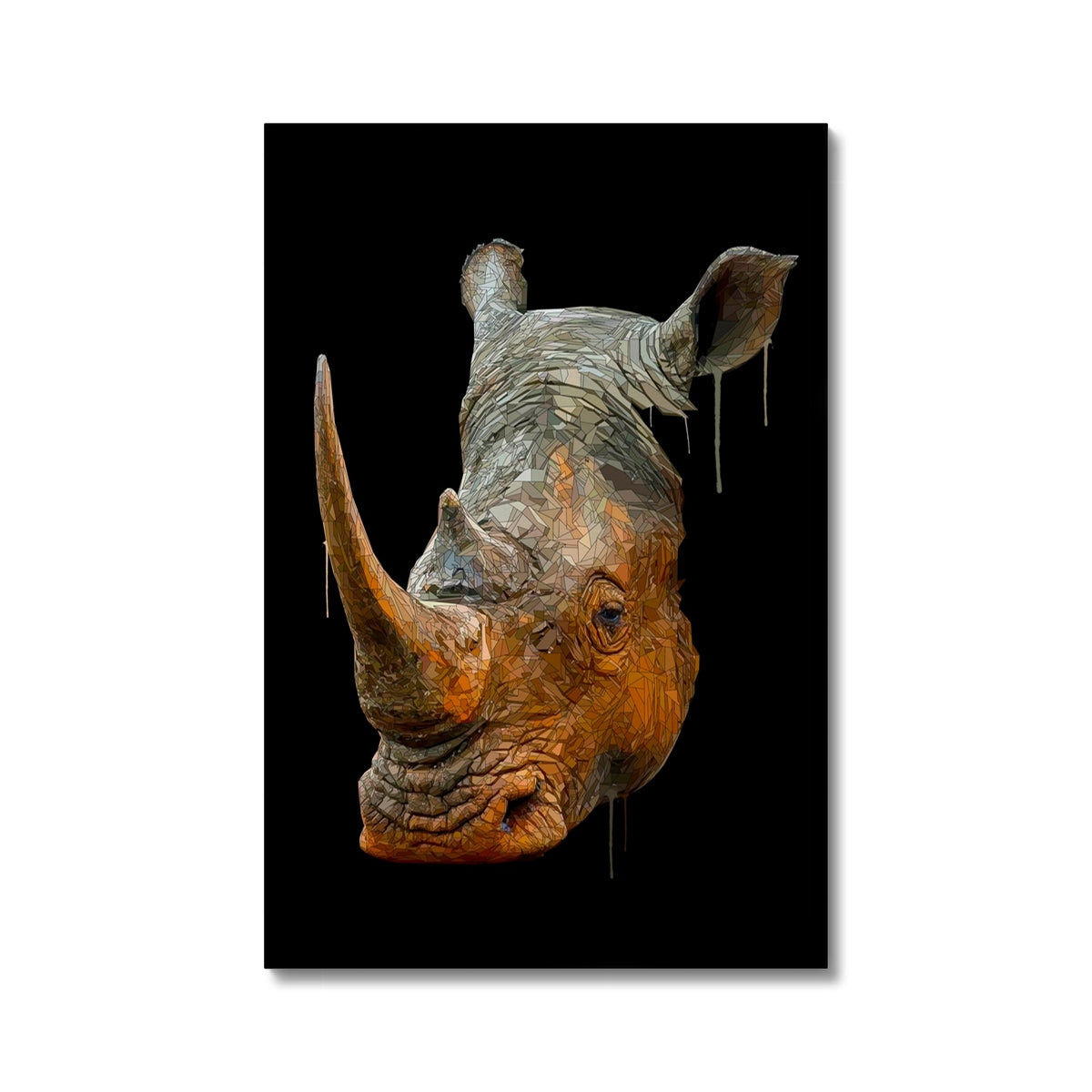 Rhino Canvas