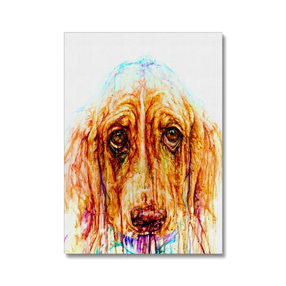 Droopy Canvas