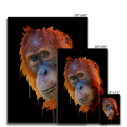 Orangutan Canvas