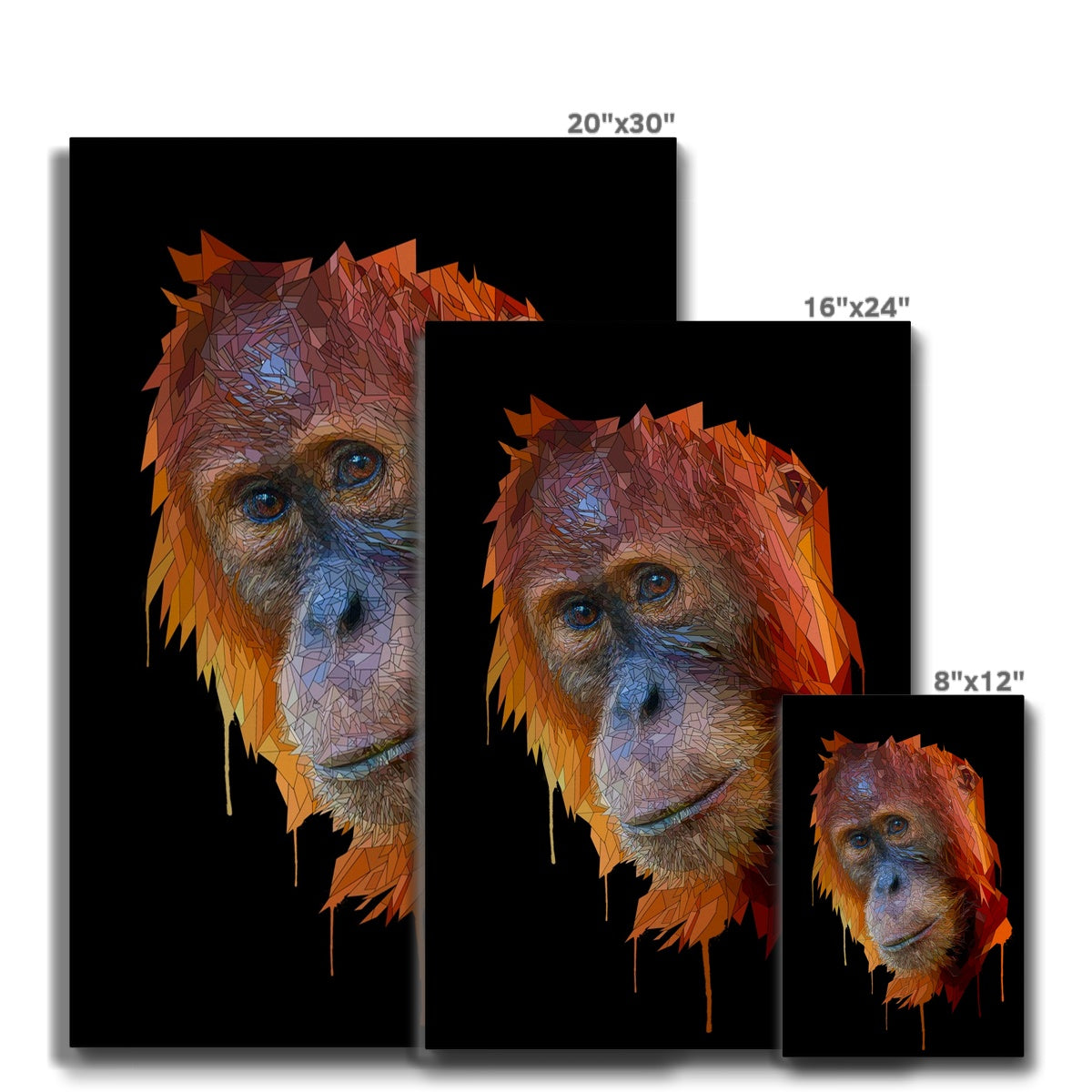 Orangutan Eco Canvas