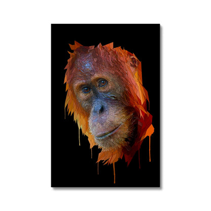 Orangutan Canvas