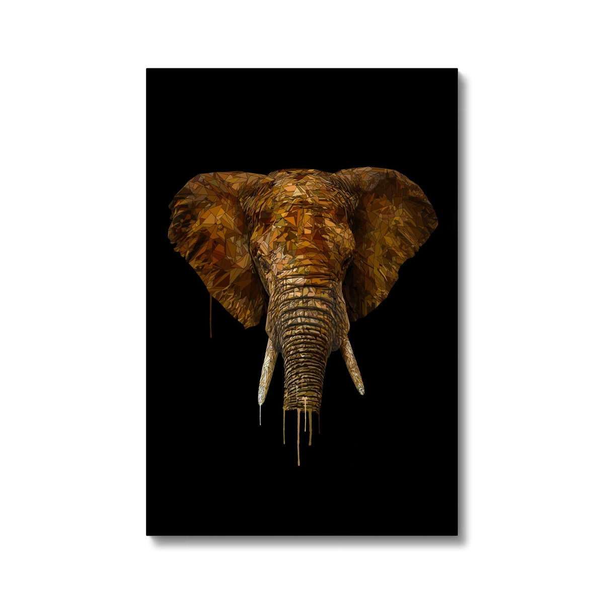 Elephant Eco Canvas