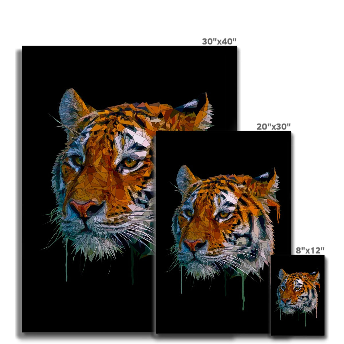 Tiger Canvas