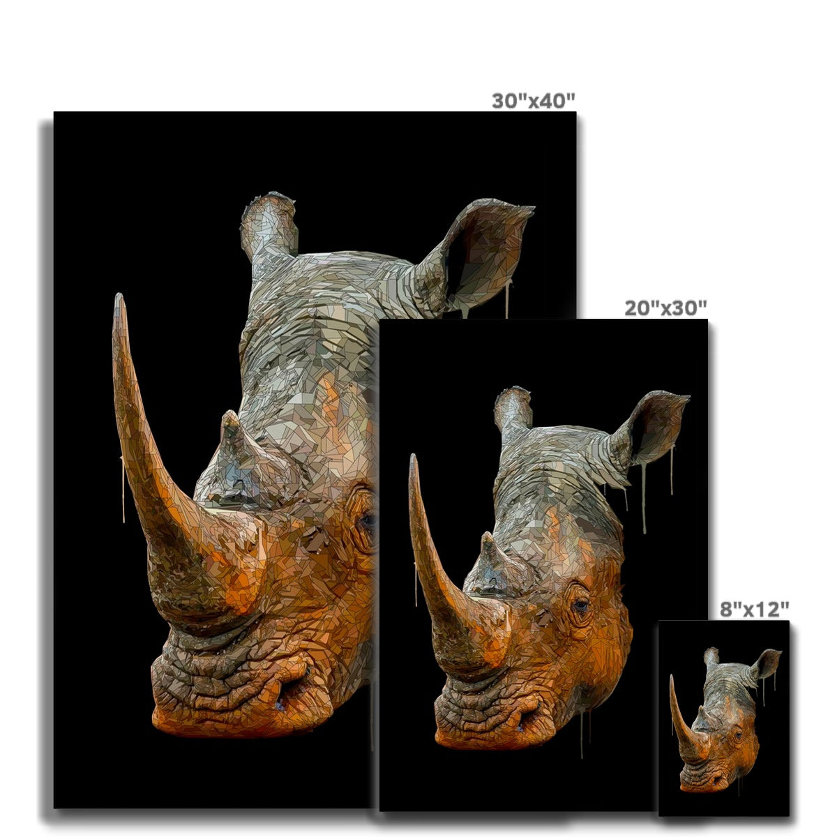 Rhino Canvas